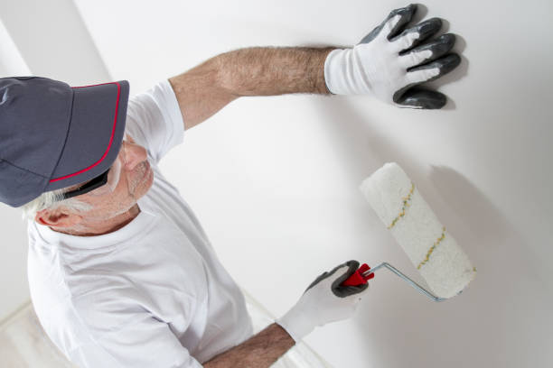 Reliable Princeton, NJ Mold Removal Solutions