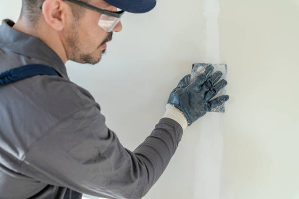 Best Mold Damage Restoration  in Princeton, NJ