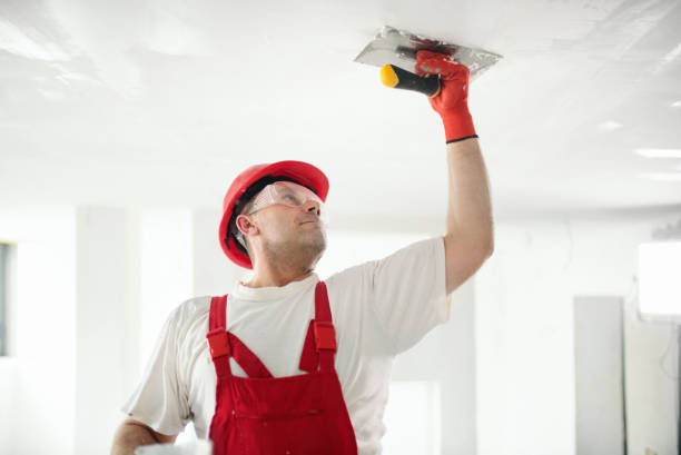 Best Crawl Space Mold Remediation  in Princeton, NJ