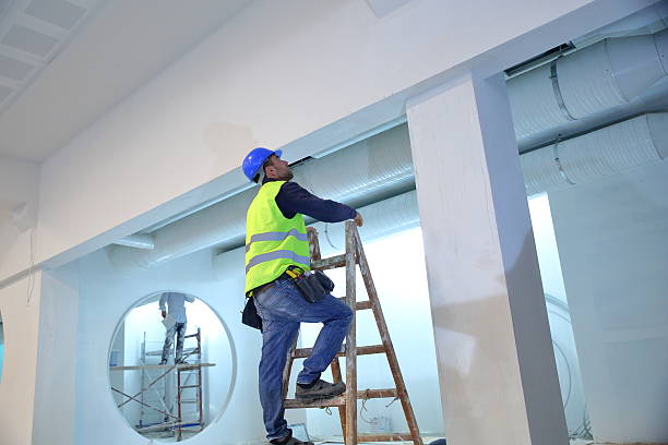 Best Comprehensive Air Testing for Mold Contaminants  in Princeton, NJ